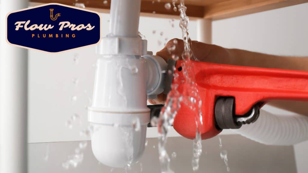 1689319698 Blog Photos 3.0 2023 07 14t152733.696