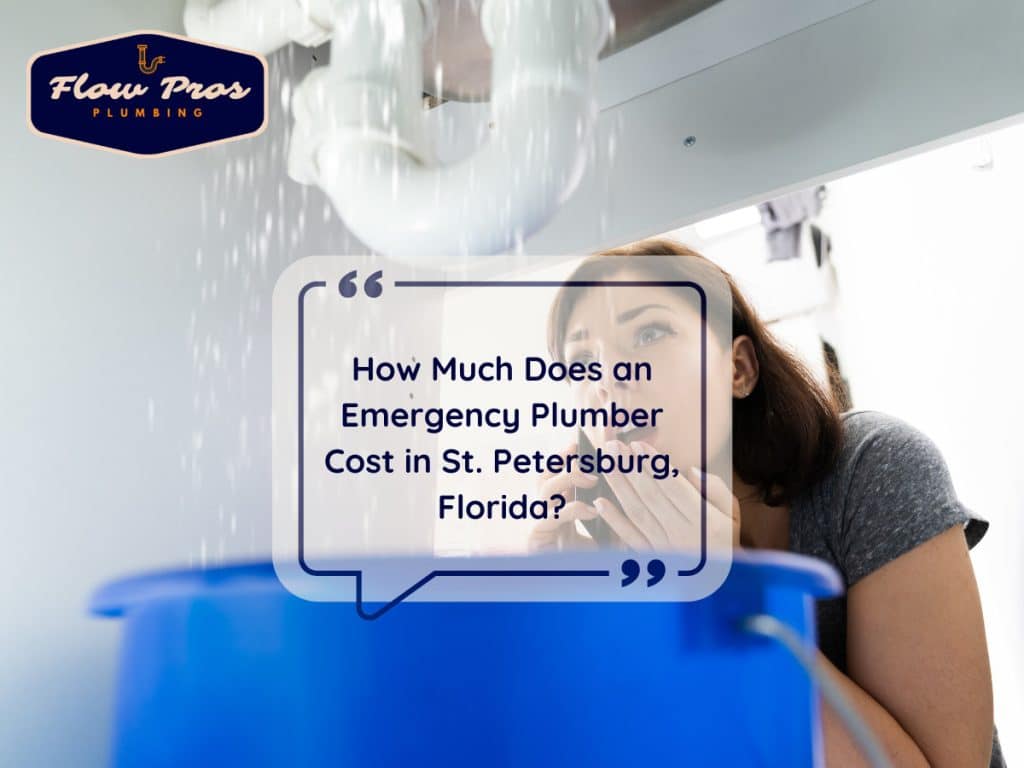 How Much Does an Emergency Plumber Cost in St. Petersburg, Florida?