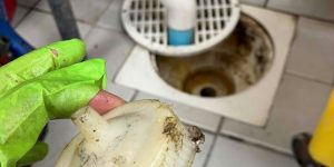 How to Safely Unclog Drains During the Holiday Season