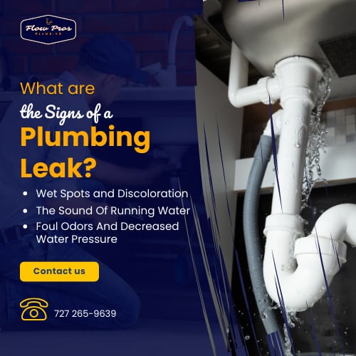 Signs Of Plumbing Leak