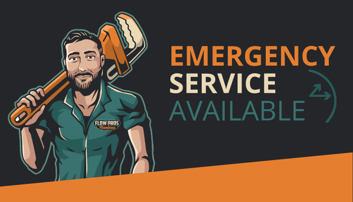 Emergency Plumber St Petersburg Flow Pros